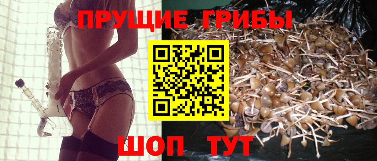 Псилоцибиновые грибы ЛСД Кандалакша