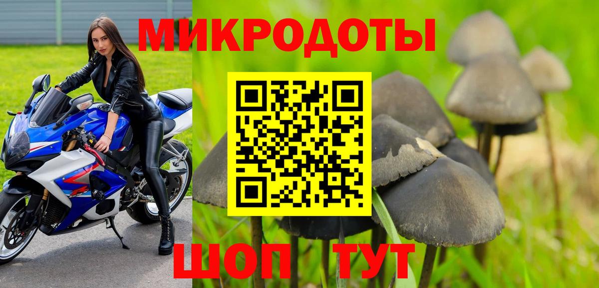 Псилоцибиновые грибы ЛСД  Вход с VPN  Кандалакша  Псилоцибиновые грибы мухоморы 