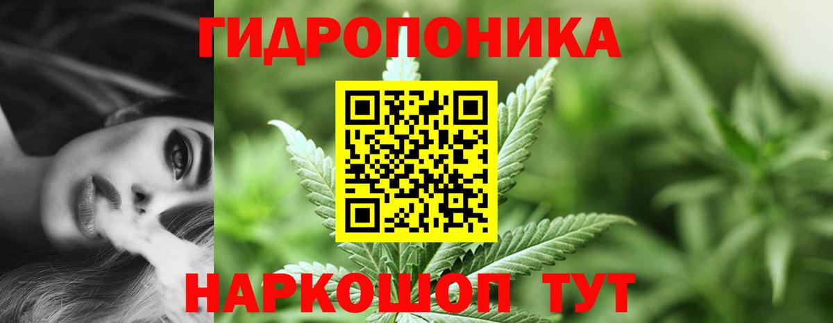 ГАШ Кандалакша